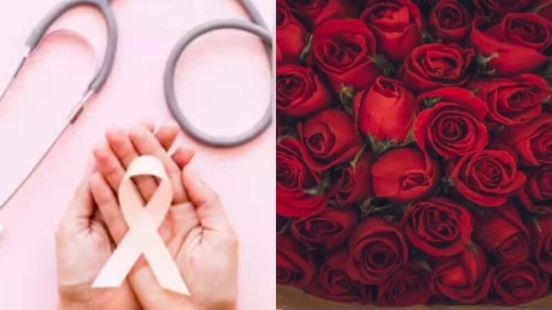 World Rose Day For Cancer Patients: 2023: Know Date, History And Significance | Health News