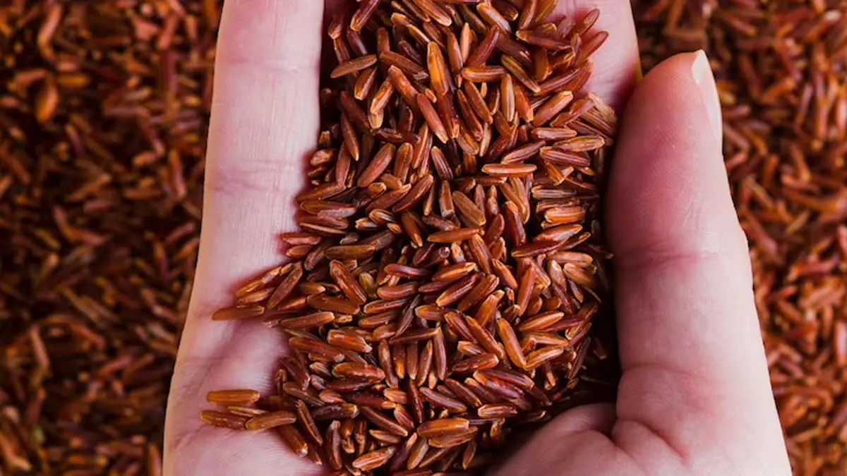 Why Does Red Rice with High Monacolin Content Outshine White Rice? Discover Its Top 5 Advantages