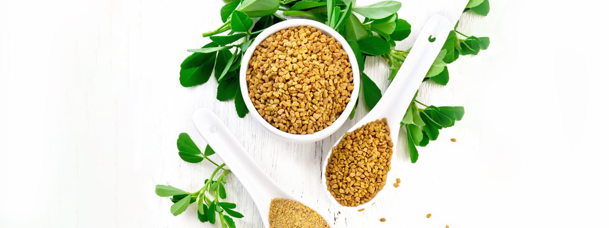 Health Insights: The Power of Fenugreek Seeds in Managing Diabetes and How to Incorporate Them into Your Diet