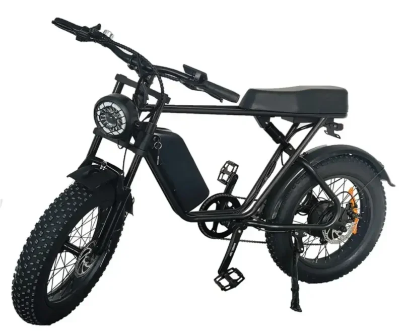 Austhraa electric bicycle