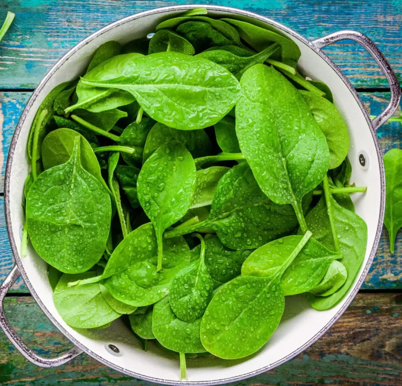 Five Essential Green Vegetables for Winter Wellness: From Curry Leaves to Mustard Greens, Stay Cold-Free This Season