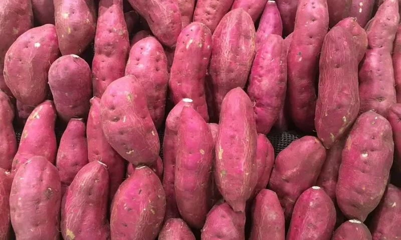 Discover the Heart-Healthy Wonders of Sweet Potatoes in Winter: Understanding Their Cardiovascular Benefits
