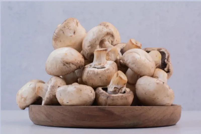 Unveiling the Winter Wonders of Mushrooms: A Treasure Trove of Health Benefits