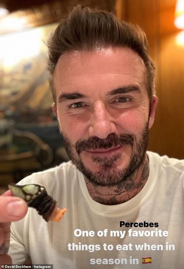 80399055 13000091 David Beckham has shared his love of Galician delicacy percebes a 1 1706096242578
