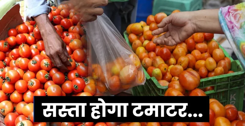 Tomato Price News