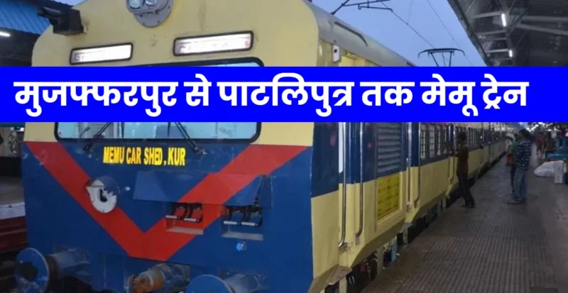 Memu Train