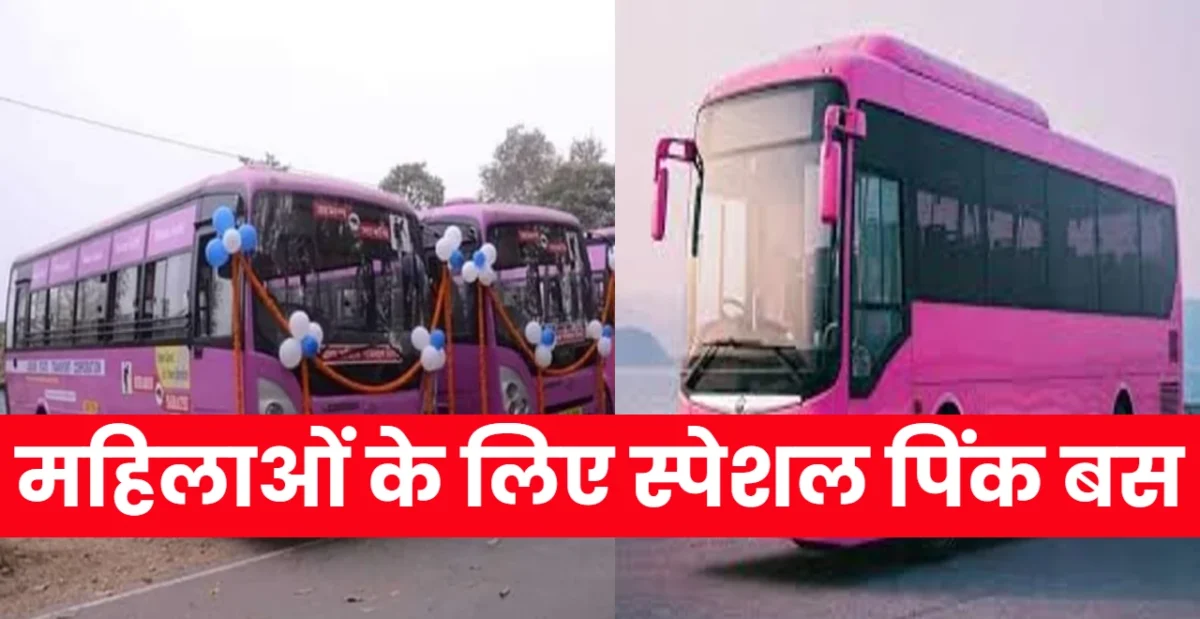 Pink Bus Service